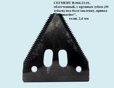 Сегмент  Н.066.22-01 облегченный  фото 1