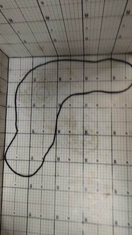 Кольцо 744Р1-23.00.015 фото 1