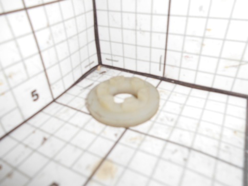 Шайба СКП 01.13.215 фото 1